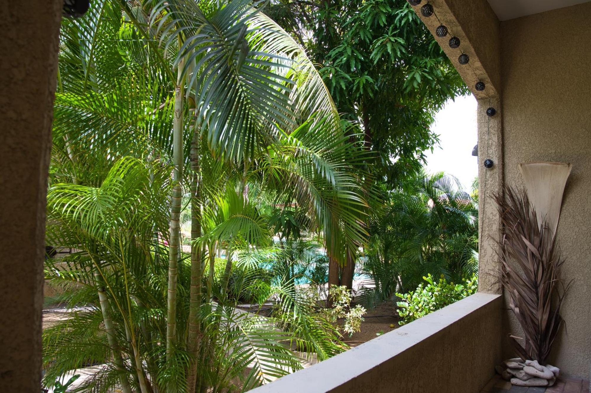 Caribbean Happyness Apartment Willemstad Luaran gambar
